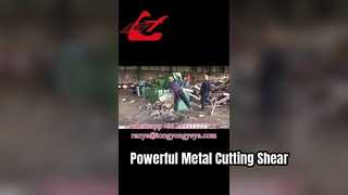 Tesoura jacaré Q43-2500