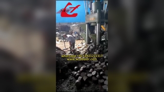 Prensa de briquetagem 111